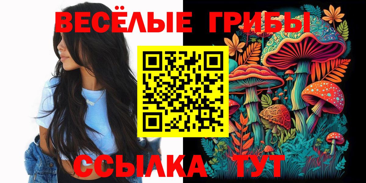 где продают наркотики  Псилоцибиновые грибы прущие грибы  Кузнецк  Вход с VPN  Псилоцибиновые грибы мухоморы 