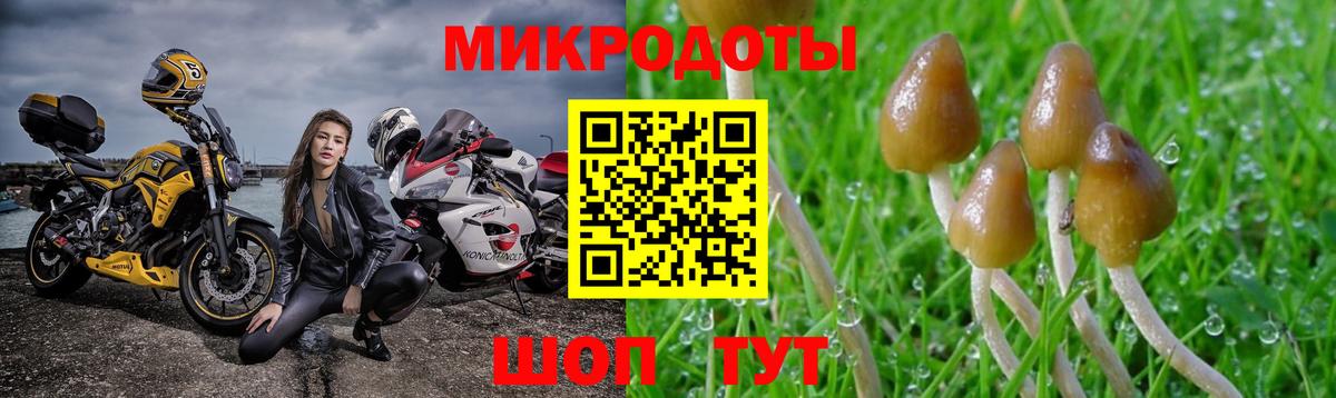 Псилоцибиновые грибы ЛСД Кузнецк